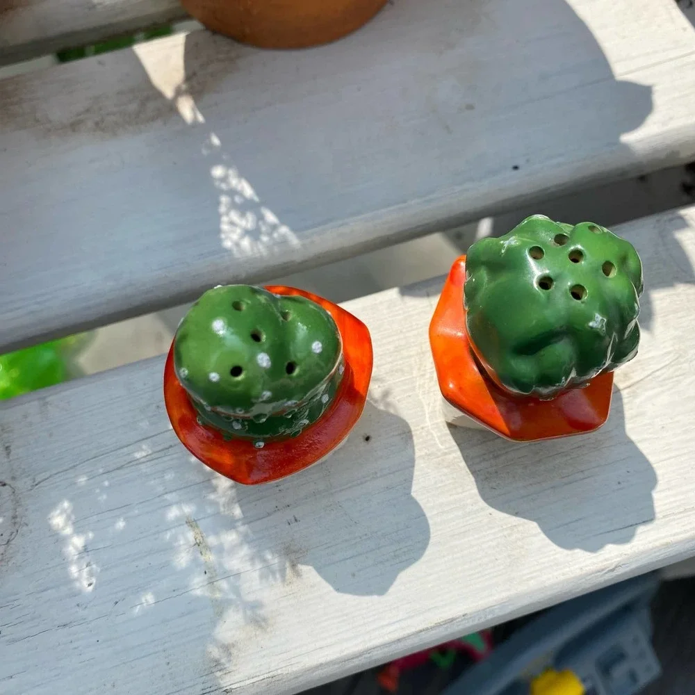 Vintage Cactus Salt & Pepper Shakers